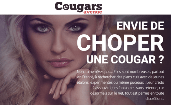 avis cougars avenue